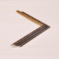 3041-ANT01-CF