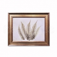 3AK5-RC-003H Fern / 6006