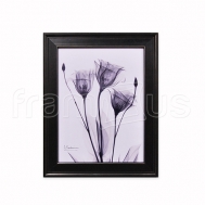 3AK-RC-122 Three Gentian in BandW