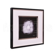 1AK-SQ-166B Rose Petals 2 / LUX 2006