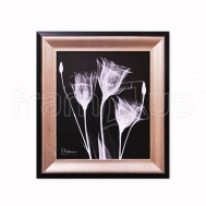 X2AK8-RC-024A Gentle Gentian